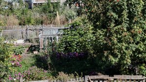 Утро воскресенья в деревне, осеннее настроение, жизнь в деревне
