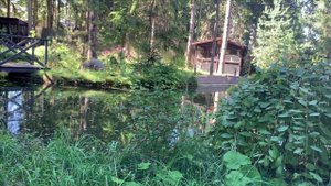 Неизвестная болезнь.Переболел.