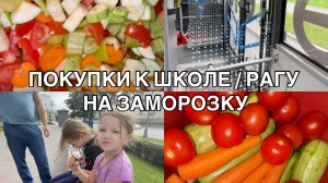 VLOG🌺 ЗАКУПИЛИСЬ К ШКОЛЕ / СДЕЛАЛА РАГУ В ЗАМОРОЗКУ🥕🍲