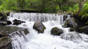 Чарыш-Коргон День 2