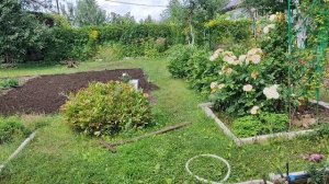 С клубникой покончено!