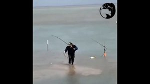 Видео от За Трофеем: Охота и Рыбалка