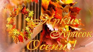 Осенний приветик. Музыкальная открытка поздравление.