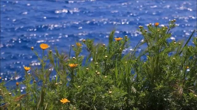 Очень Нежная_ Трогательная_ Изумительная музыка Для Расслабления_ Достаточно прос(720P_HD) смотреть онлайн