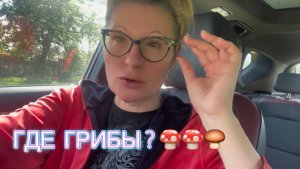 Красивая природа Глухомань . Пошла за грибами 🍄🌲🐾