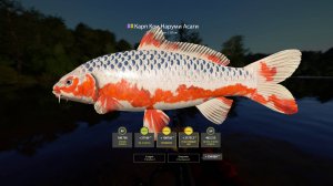 РАЗДАЧА УСАЧЕЙ, ФАРМ ВЕРНУЛСЯ НА МЕДНОЕ И МОРЕ В РУССКОЙ РЫБАЛКЕ 4 РР4