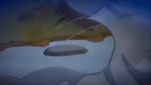 коты воители 😆. и Прощай лето 🌞🌴🏄🎇