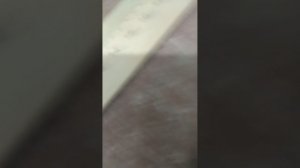 Фокус! Физика🤯