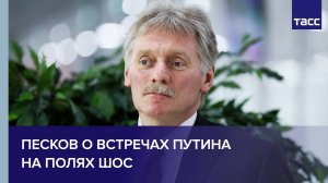 Песков о встречах Путина на полях ШОС