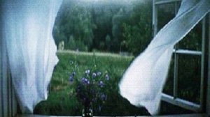 Только ветер поёт (1)