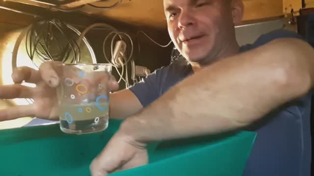 Ч.1 Домашнее вино,виноделие,рецепт,процесс изготовления.Делаем виноградное вино .Праздник вина. смотреть онлайн