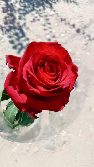 приветик 🎀❤️