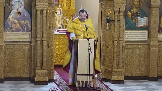 Притча о сеятеле. Проповедь протоиерея Димитрия Сизоненко смотреть онлайн