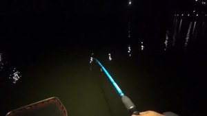 Это РЫБАЛКА ЖАТВА!!!! ОГРОМНЫЕ САЗАНЫ И КАРАСИ!