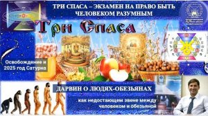 ПРОГНОЗ на 31 АВГУСТА, воскресение,день СЛАВЫ,2025,эпохи Водолея,Кали-юги,5йК.расы,2йСолнечной сист.