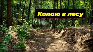 Могильные таблички. Лесной коп.
