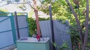 Забетонировал людям 3 столба для навеса . Сейчас буду бетонировать ещё 3 столба для навеса .