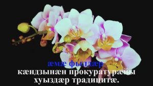 Прокуроры (фæдысгарæджы) ардбахæрд -3