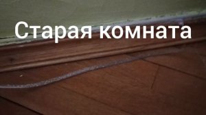 5 ночей у тигра