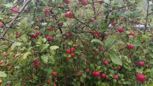 31-08-2025💥Влог💥воскресенье