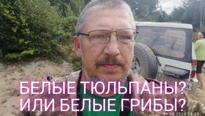Корсаков#Сахалин#Грибы белые #Тихая охота.
