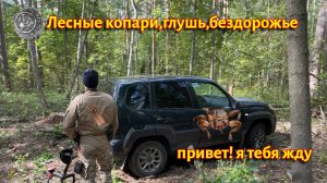 Какая тишь в лесу густом, но прежде долг, а сон — потом. Коп: средневековый дух леса.