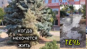 Ейск ! Дальше в путь, течь прорыв, когда не хочется жить и немного о разном 31-08-2025.