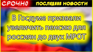 Леонид Слуцкий предложил увеличить пенсию до двух МРОТ: что это значит для россиян