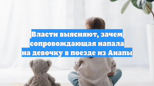 Власти выясняют, зачем сопровождающая напала на девочку в поезде из Анапы