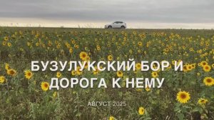 Бузулукский Бор и дорога к нему. Август 2025
