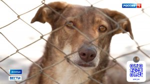 Крупнейший Донецкий приют «ПИФ» нуждается в помощи