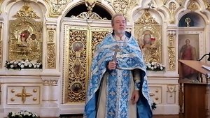 Проповедь протоиерея Иоанна Барсукова после вечернего богослужения в Неделю 12-ю по Пятидесятнице