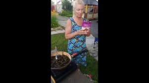 Кулинарное шоу с ламинарией