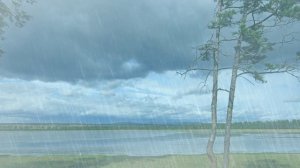 Футаж. Летний пейзаж 29