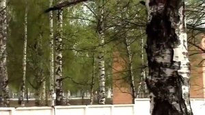 Мулино артиллерийская бригада