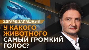 Эдгард Запашный. Как дружат животные и безопасны ли микрочипы для питомцев?