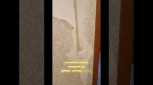 Новая чистовая электропроводка квартира 41кв/м.