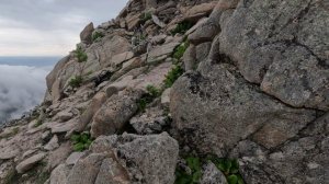 Эпизод 6 Маркова ВД FHD