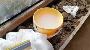 Теплица зимовать готова💃💃💃 Пересадила землянику🍓