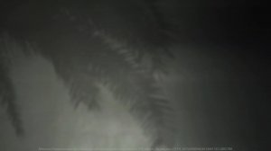 31.08.25 Воскресное Богослужение "Источник Жизни" Оренбург