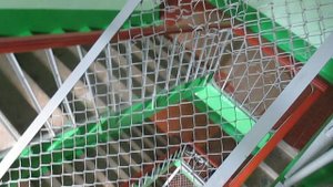 Лифт МЛЗ @ Р.Ч. г. Новочебоксарск, ул. Советская, д. 15-1 (12)