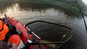 Очередной выезд за щукой с неплохим результатом. рыбалка на спиннинг.