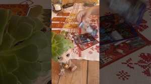 ОВЕН
Таро расклад  на сентябрь для знака зодиака ОВЕН