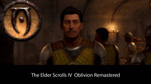 The Elder Scrolls IV Oblivion Remastered #37 - Шпионы
