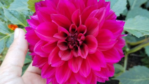 Влог с 25 - 31.08.25 Мы попали на день рождения тети !