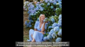 Мои стихи "Гортензия"