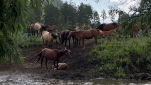 14028776_3840_2160_30fps