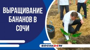 Развитие сельского хозяйства и агротуризма в условиях субтропиков обсудили в Сочи