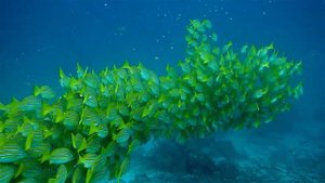 1151329-hd_1920_1080_30fps