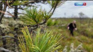 Вести-Томск, выпуск от 30.08.2025 08:00